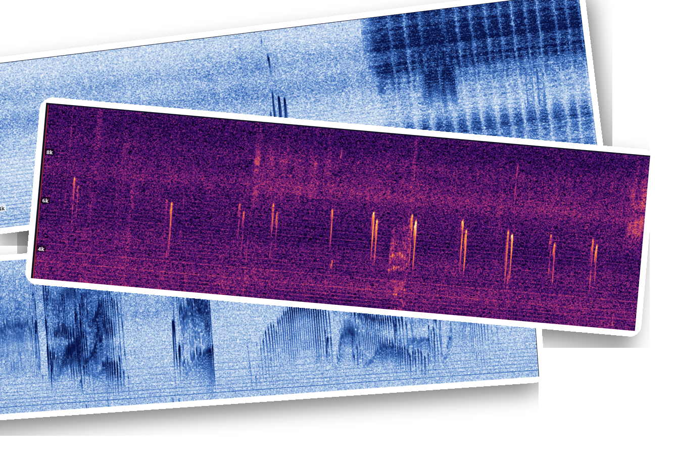 Spectrograms of an Alpine Swift, Wood Sandpiper and Green Sandpiper detected overnight