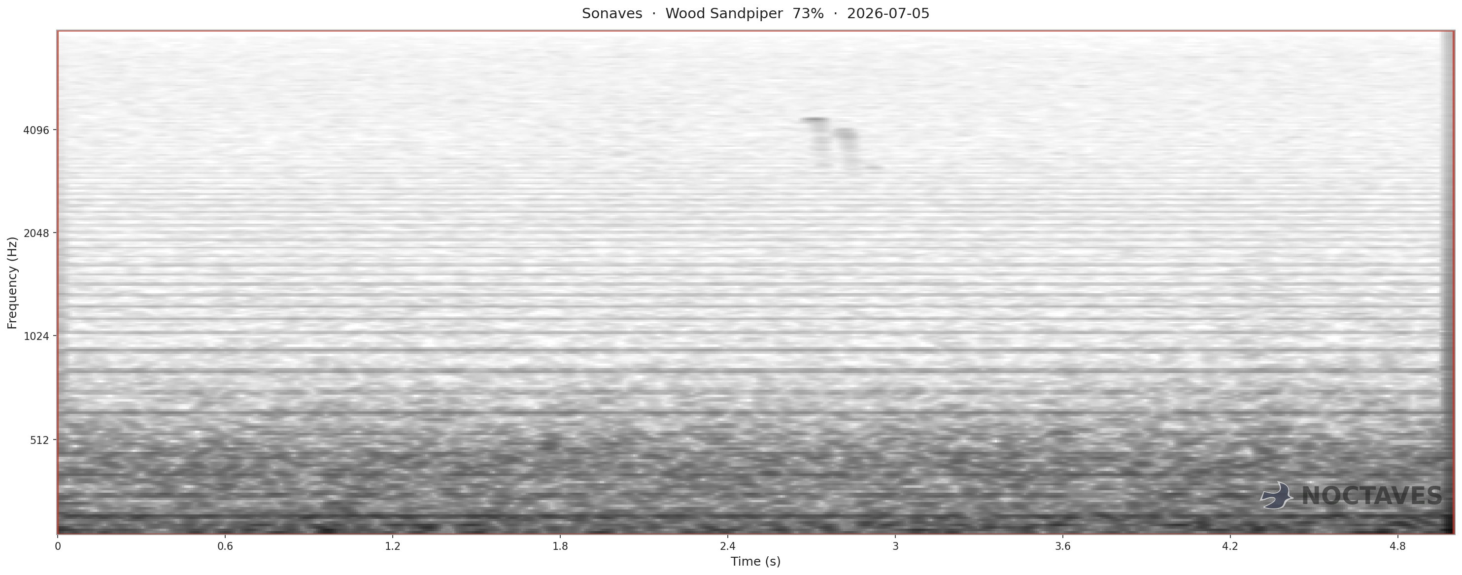 Spectrogram of Wood Sandpiper