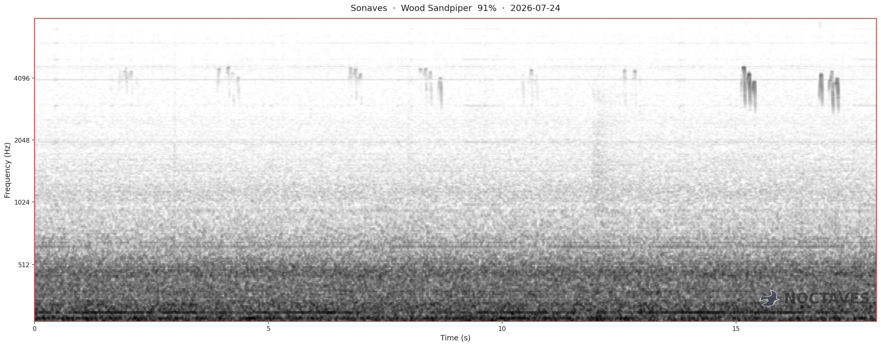 Spectrogram of Wood Sandpiper