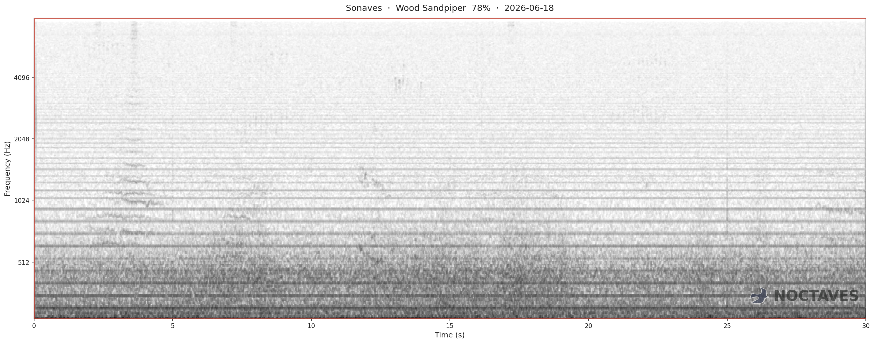 Spectrogram of Wood Sandpiper
