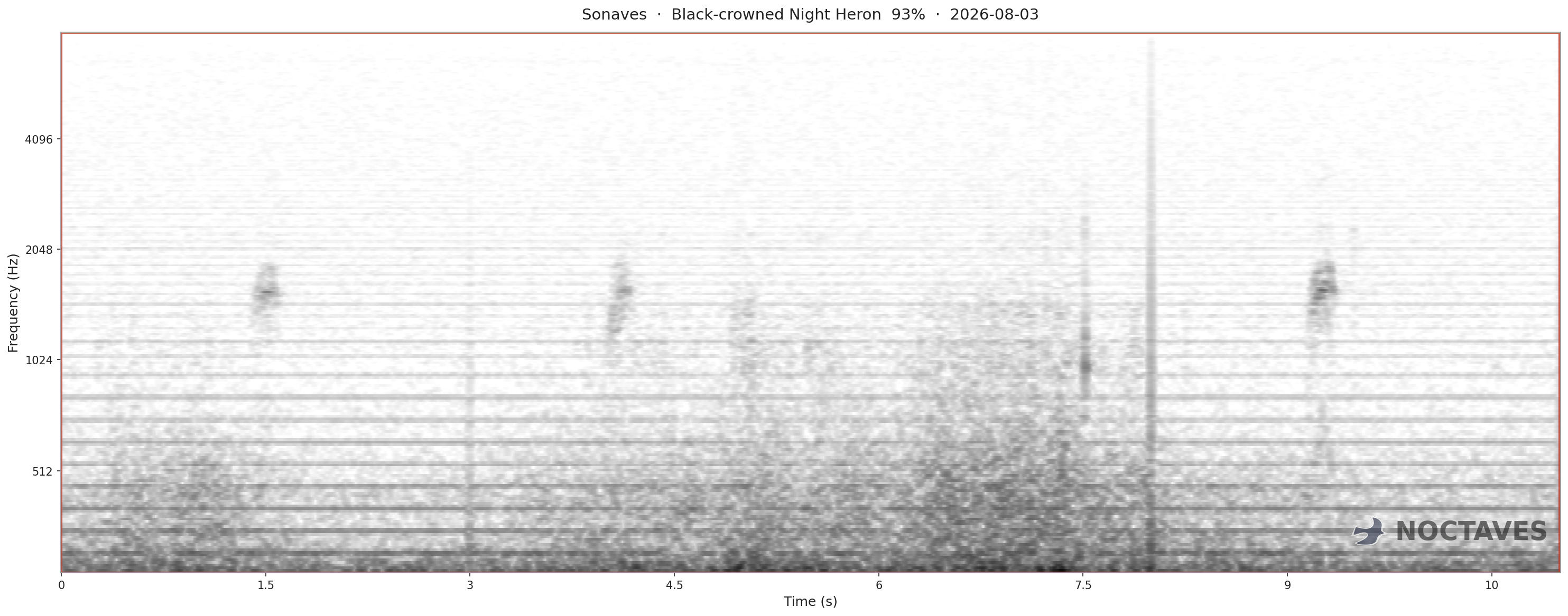 Spectrogram of Black-crowned Night Heron