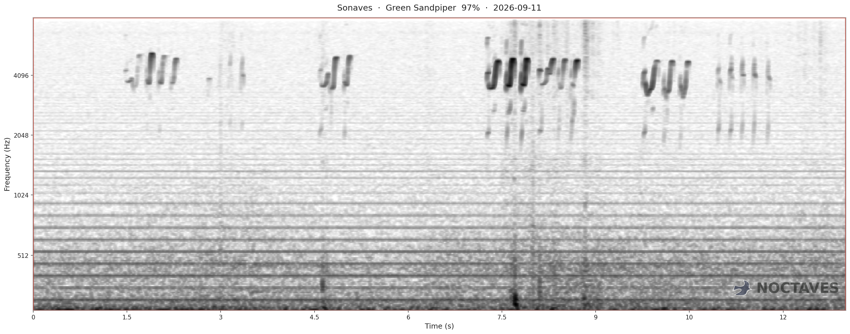Spectrogram of Green Sandpiper