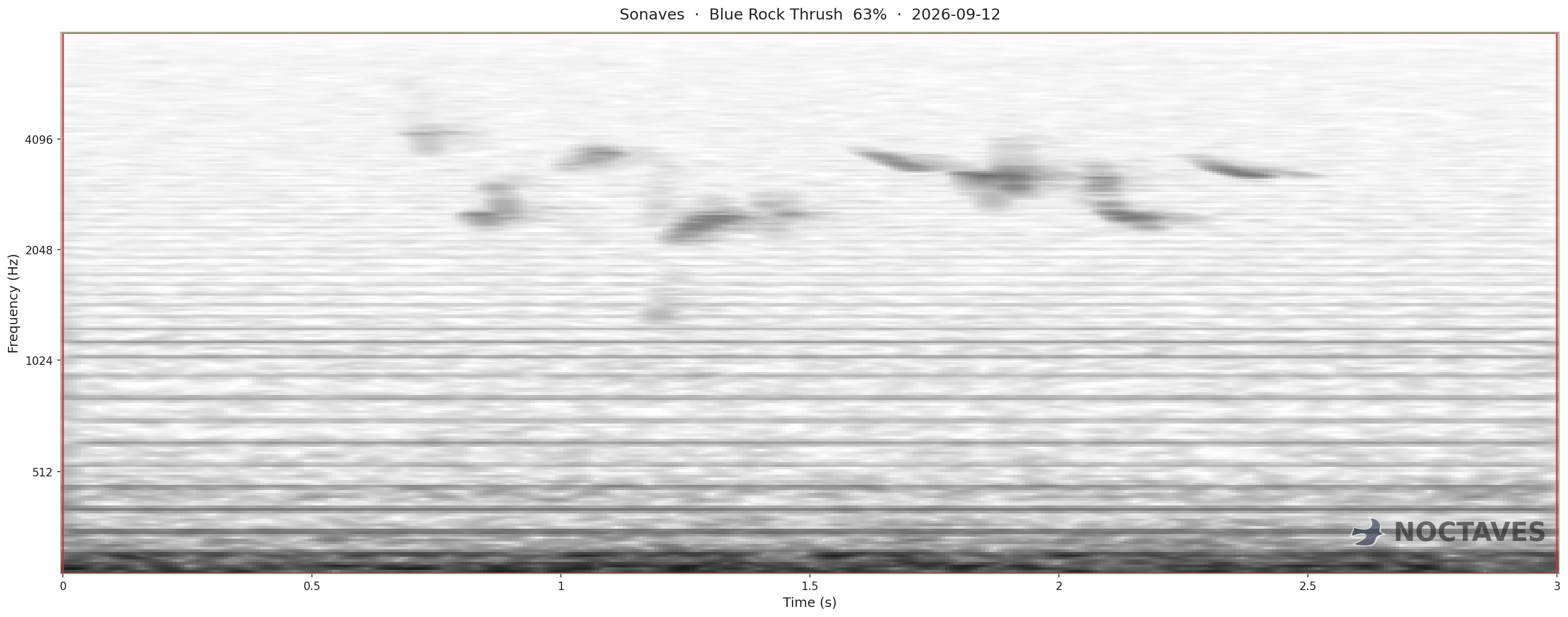 Spectrogram of Blue Rock Thrush