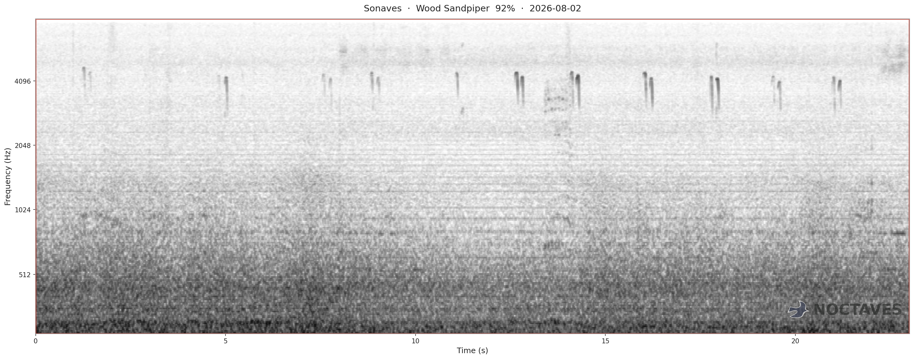 Spectrogram of Wood Sandpiper