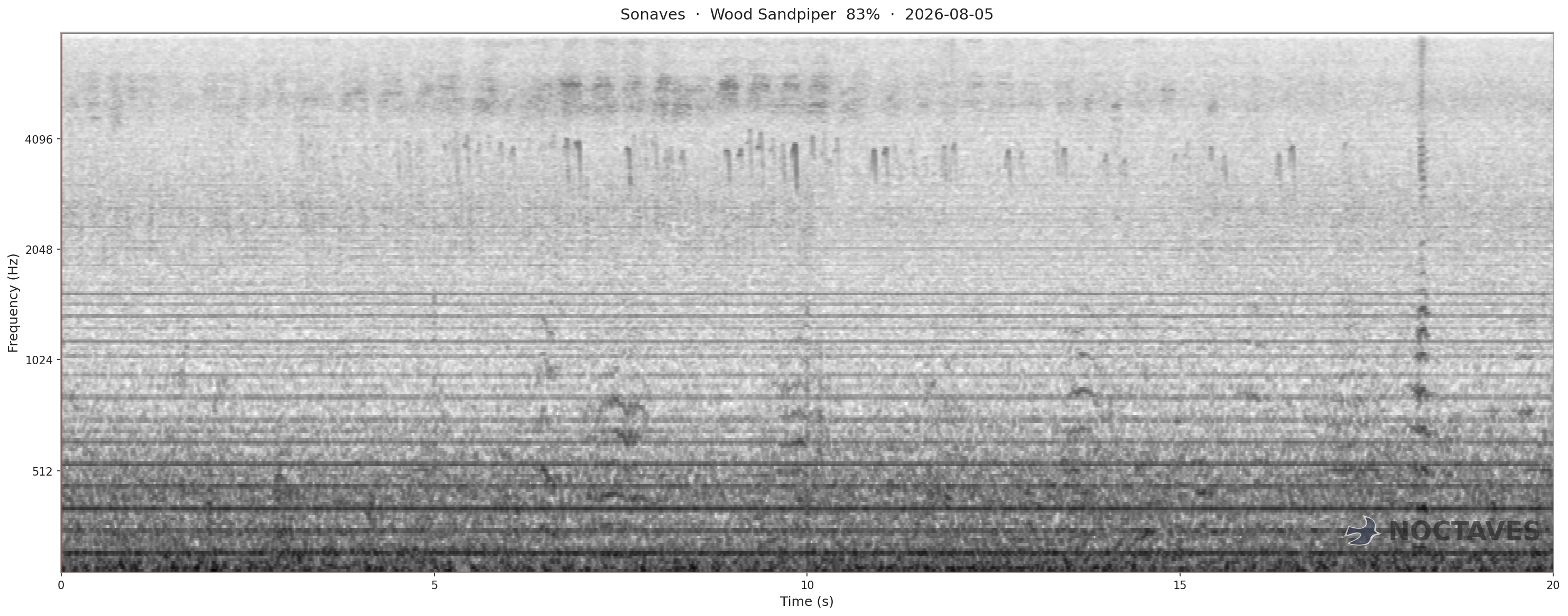 Spectrogram of Wood Sandpiper